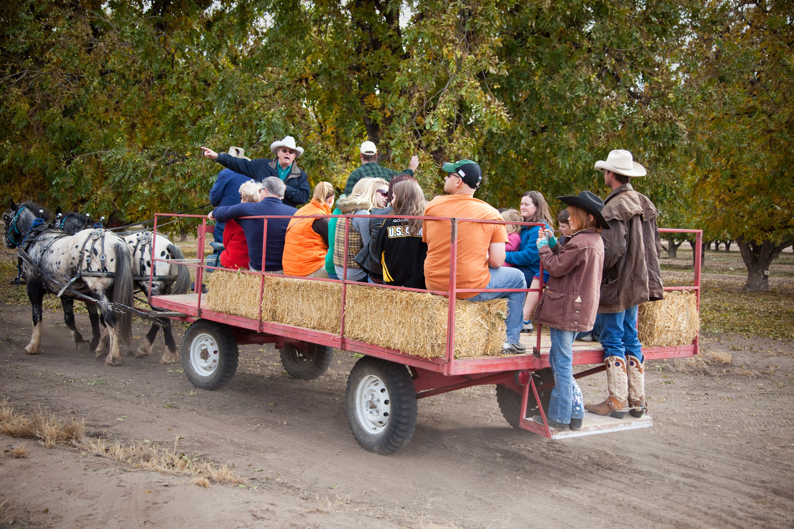 haunted hayride